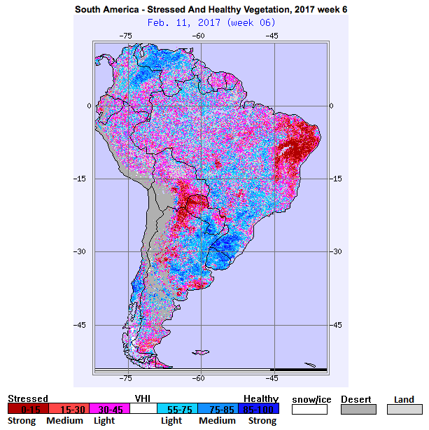 #AG #AGwx Mon South America: Forecast verification + week ahead forecast. K.