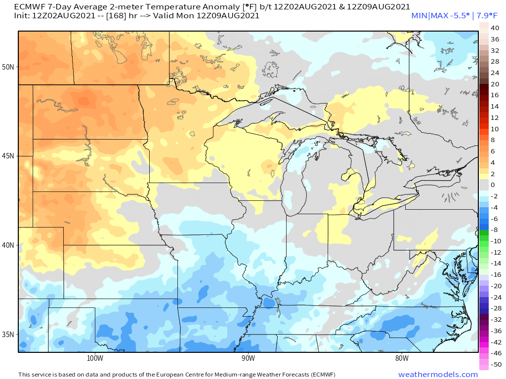 8-2-21 PM Euro Ag Weather Report: Volatile mid-day Euro rainfall trend. Our thoughts here. B.