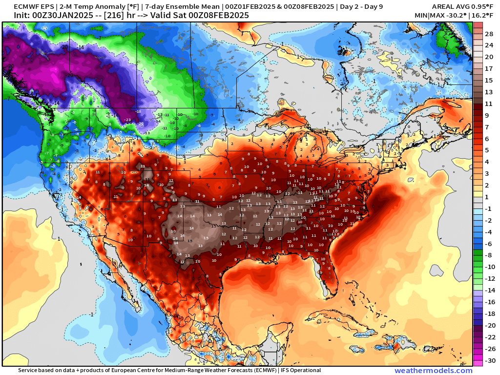 Record-breaking Gulf Coast Snow Headlines January. Volatile February ahead.